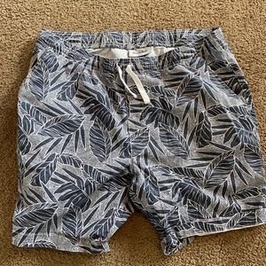 Goodfellow & Co. Summer Shorts